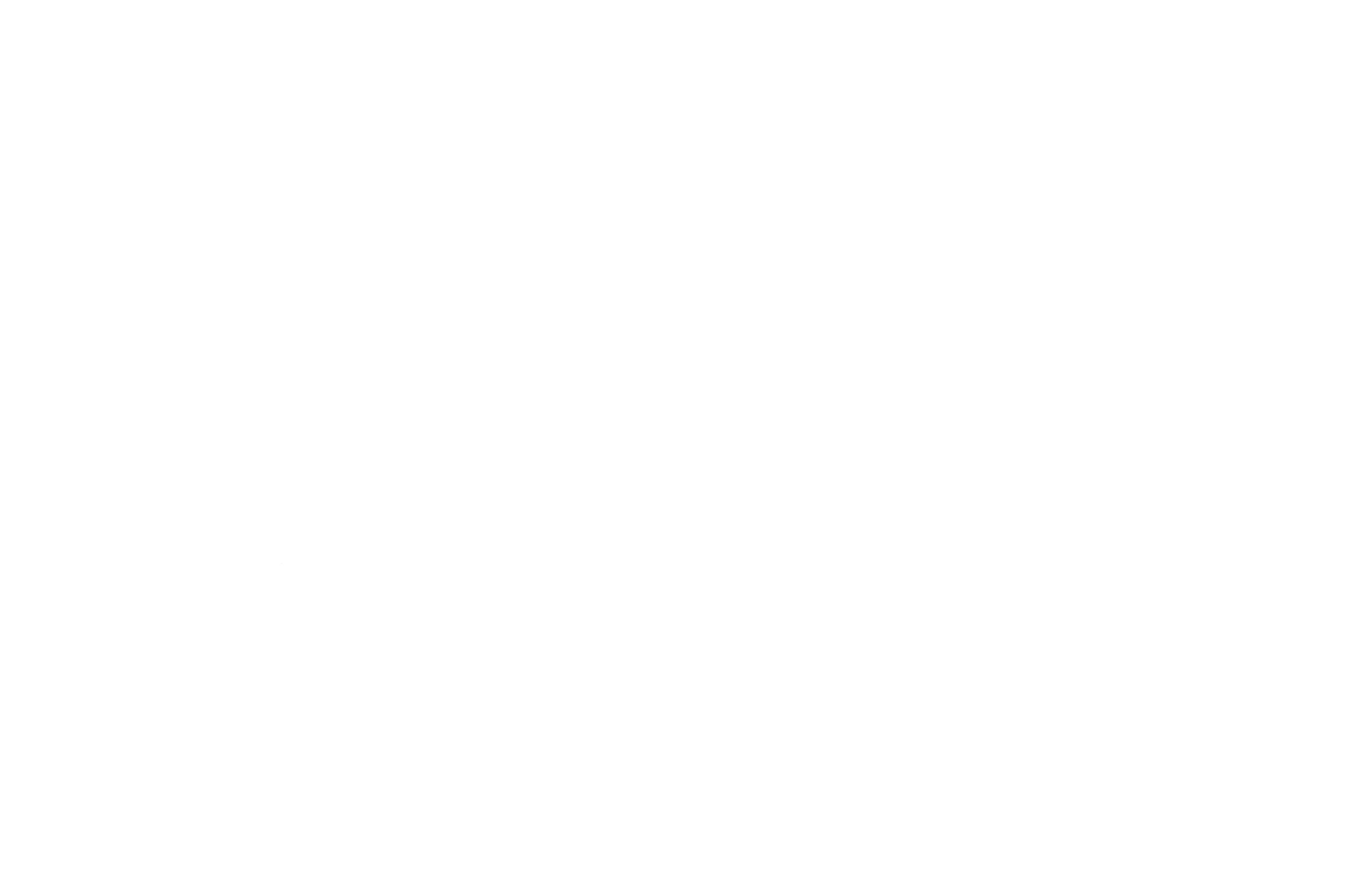 Irene Matys logo white